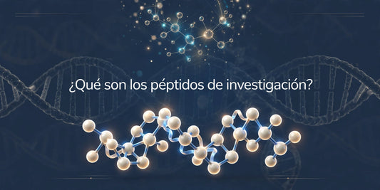 ¿Qué son los péptidos de investigación?